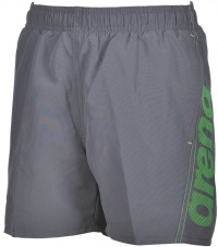 Arena Fundamentals Arena Logo Boxer Junior Grey/Green