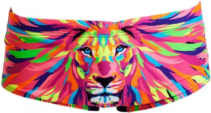 Funky Trunks Pride Power Sidewinder Trunks Boys