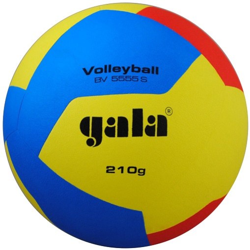 Gala Volleyball BV 5555 S 210g